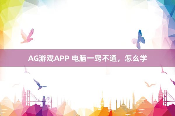 AG游戏APP 电脑一窍不通，怎么学