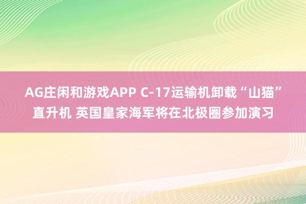 AG庄闲和游戏APP C-17运输机卸载“山猫”直升机 英国皇家海军将在北极圈参加演习