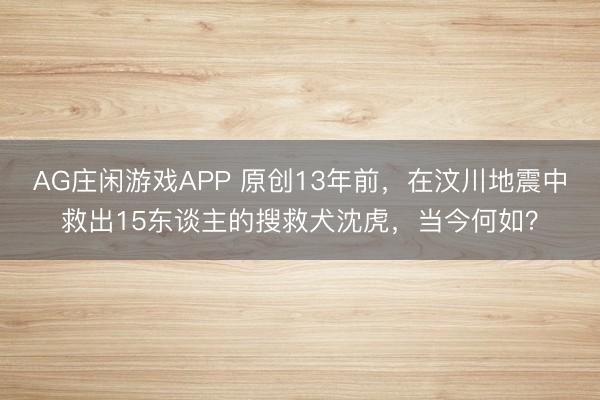 AG庄闲游戏APP 原创13年前，在汶川地震中救出15东谈主的搜救犬沈虎，当今何如？